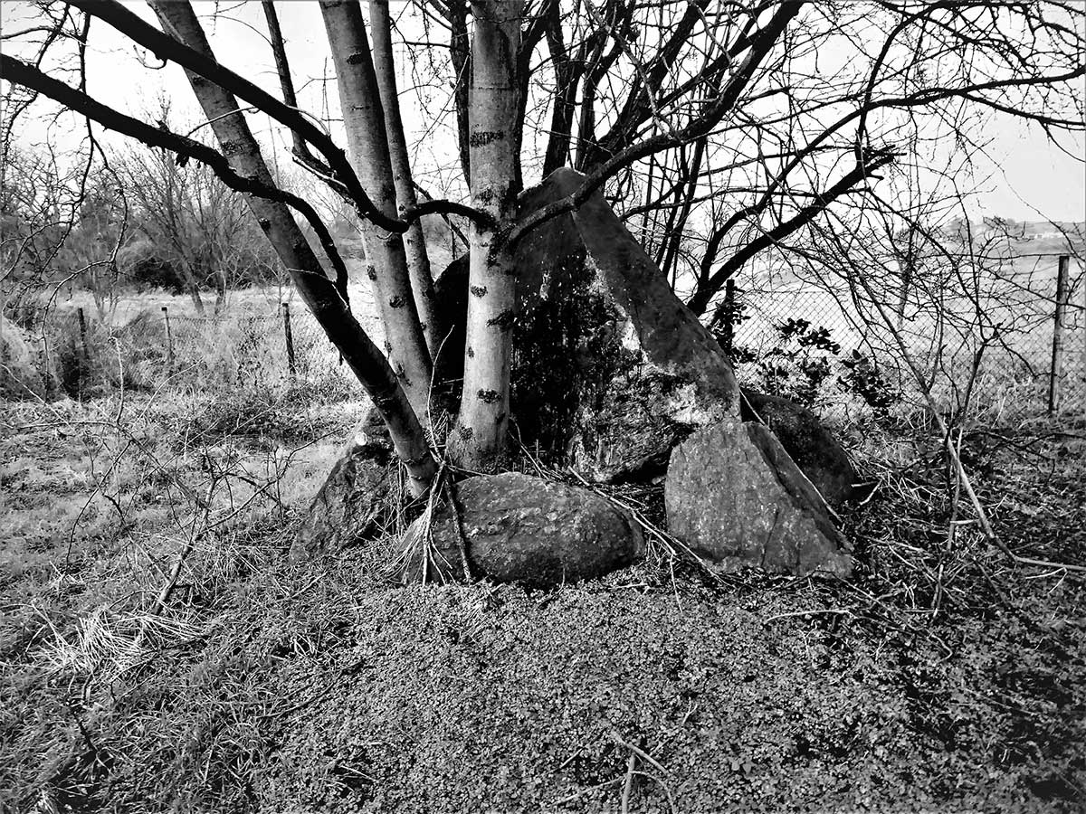 Sportlerdenkmal am ehemaligen Rotationsplatz